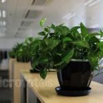 擺放電腦辦公桌最理想的方位